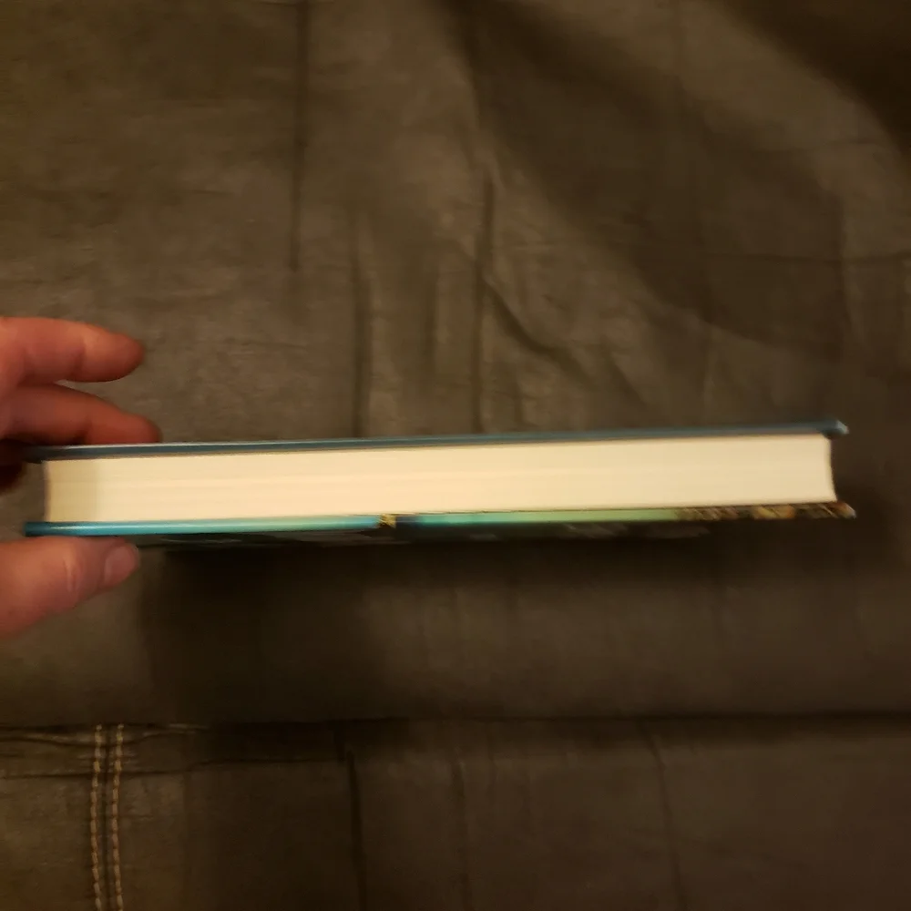 The reunion‎ A Novel by Guillaume Musso Hardbook